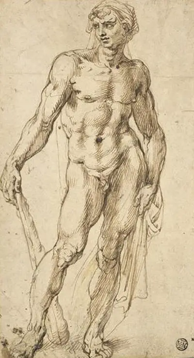 Hercules Michelangelo